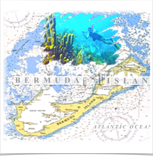 Exploring the Bermudas.